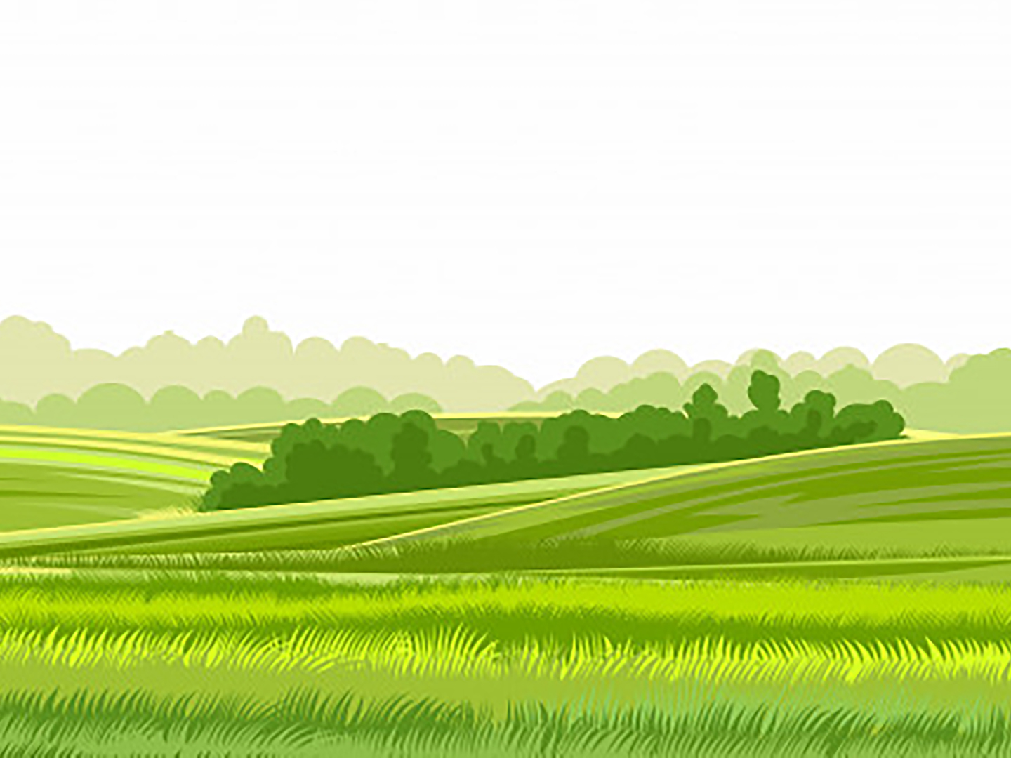 Comissão de Agronegócios da OAB SP se manifesta sobre PL 2.963/19, que facilita aquisição de terras rurais por estrangeiros
